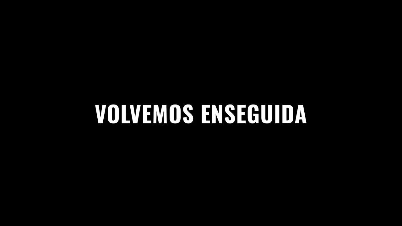 Pantalla de pánico con el texto Volvemos enseguida